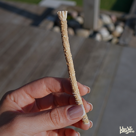 Siwak (Miswak) naturel | Lot de 2 | Brosse à dents végétale