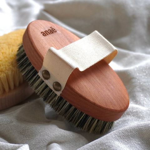 Brosse de massage à secBrosseUneViePlusSaine