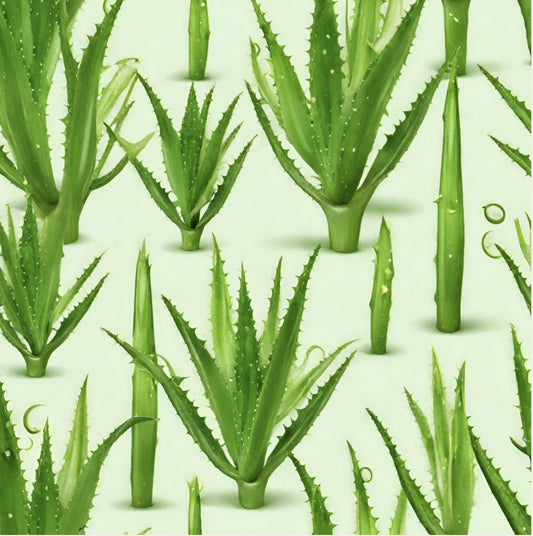 Comment faire du gel d'aloe vera ? - Une Vie Plus Saine