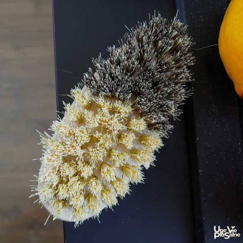 Brosse à légumes en bois | Double fibres
