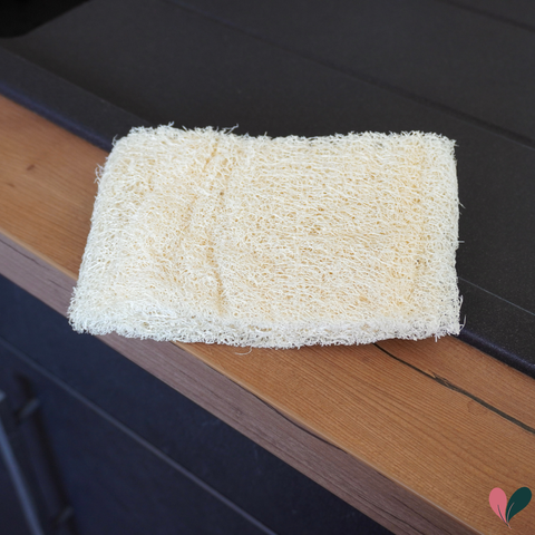 Eponge luffa brut | 4 tailles au choix