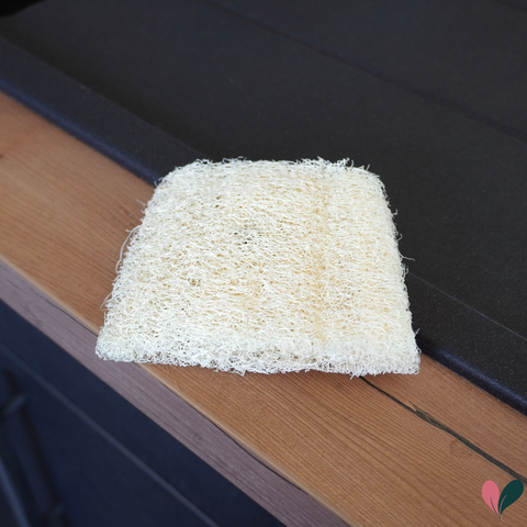 Eponge luffa brut | 4 tailles au choix