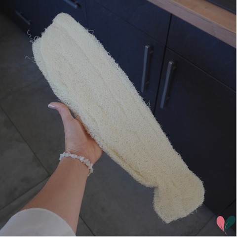 Eponge luffa brut | 4 tailles au choix