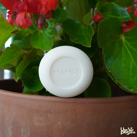 Savon solide | Lait de chèvre