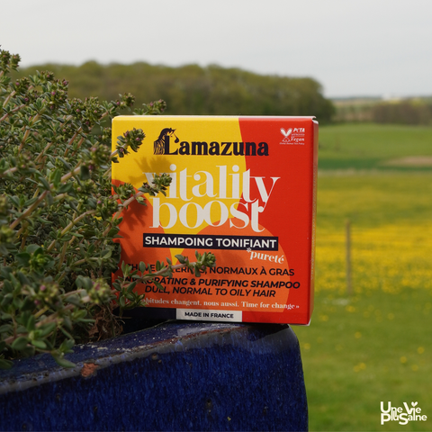 Shampoing solide tonifiant | Cheveux ternes, normaux à gras