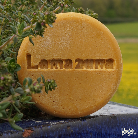 Shampoing solide | Cheveux blond et ternes