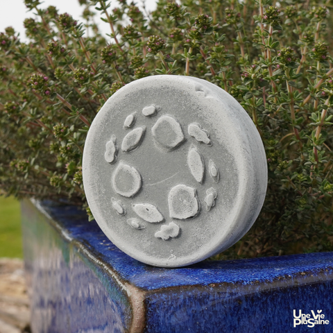 Shampoing solide | Raviveur Cheveux Blancs & Décolorés | 70ml