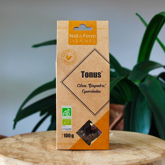 Tisane tonus bio | Citron, gingembre & cynorrhodon | Nat&ForminfusionUneViePlusSaine