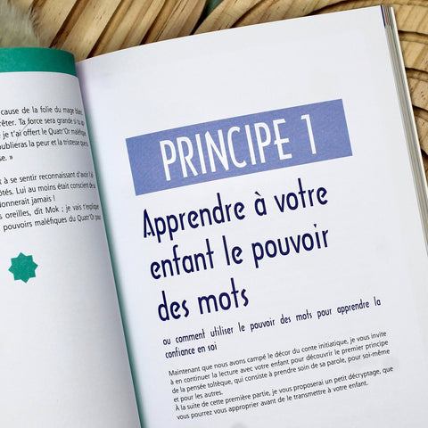 Les principes toltèques appliqués aux enfantsLIVRESUneViePlusSaine