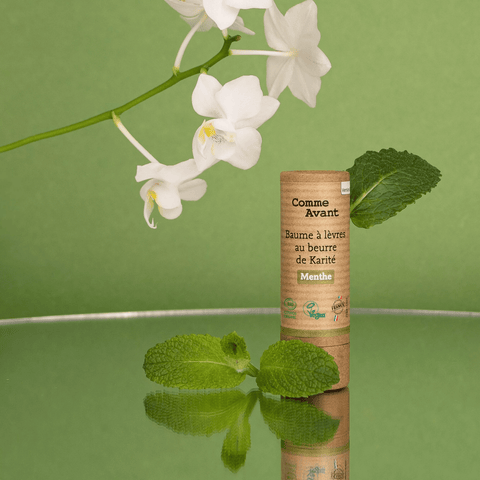 Baume à lèvres au beurre de karitéparfumUneViePlusSaine
