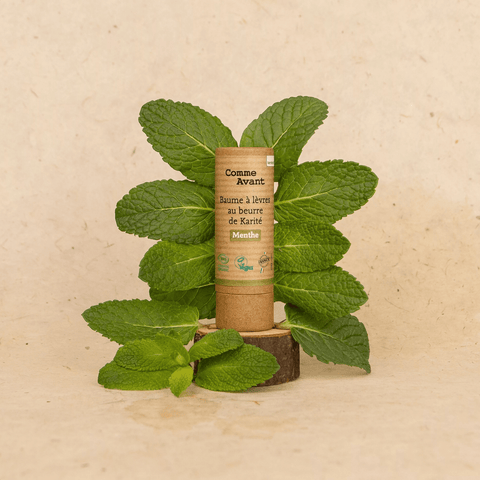 Baume à lèvres au beurre de karitéparfumUneViePlusSaine