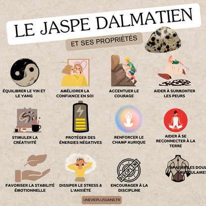 Pierre roulée | Jaspe dalmatien | Équilibre, réflexion & énergie positivepierreUneViePlusSaine