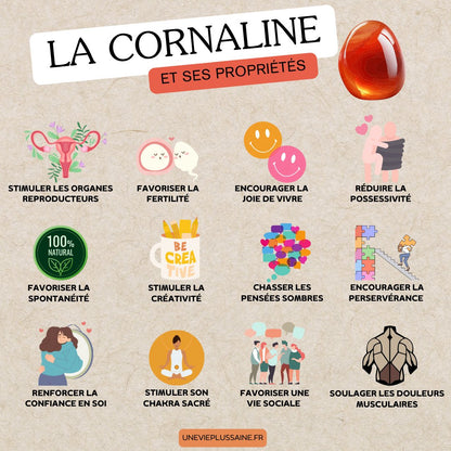 Pierre roulée | Cornaline | Bonheur, chance & créativitéUneViePlusSaine